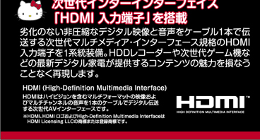 次世代インターフェース「HDMI入力端子」を搭載
